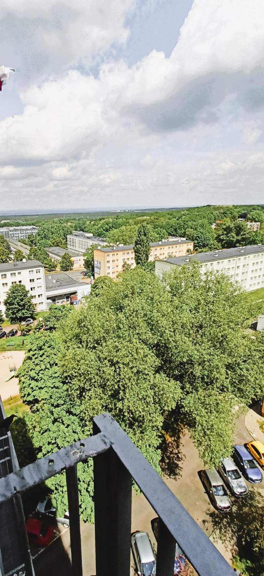 Drzewna Apartamenty - Wladyslawa Zielona Gora  Bagian luar foto