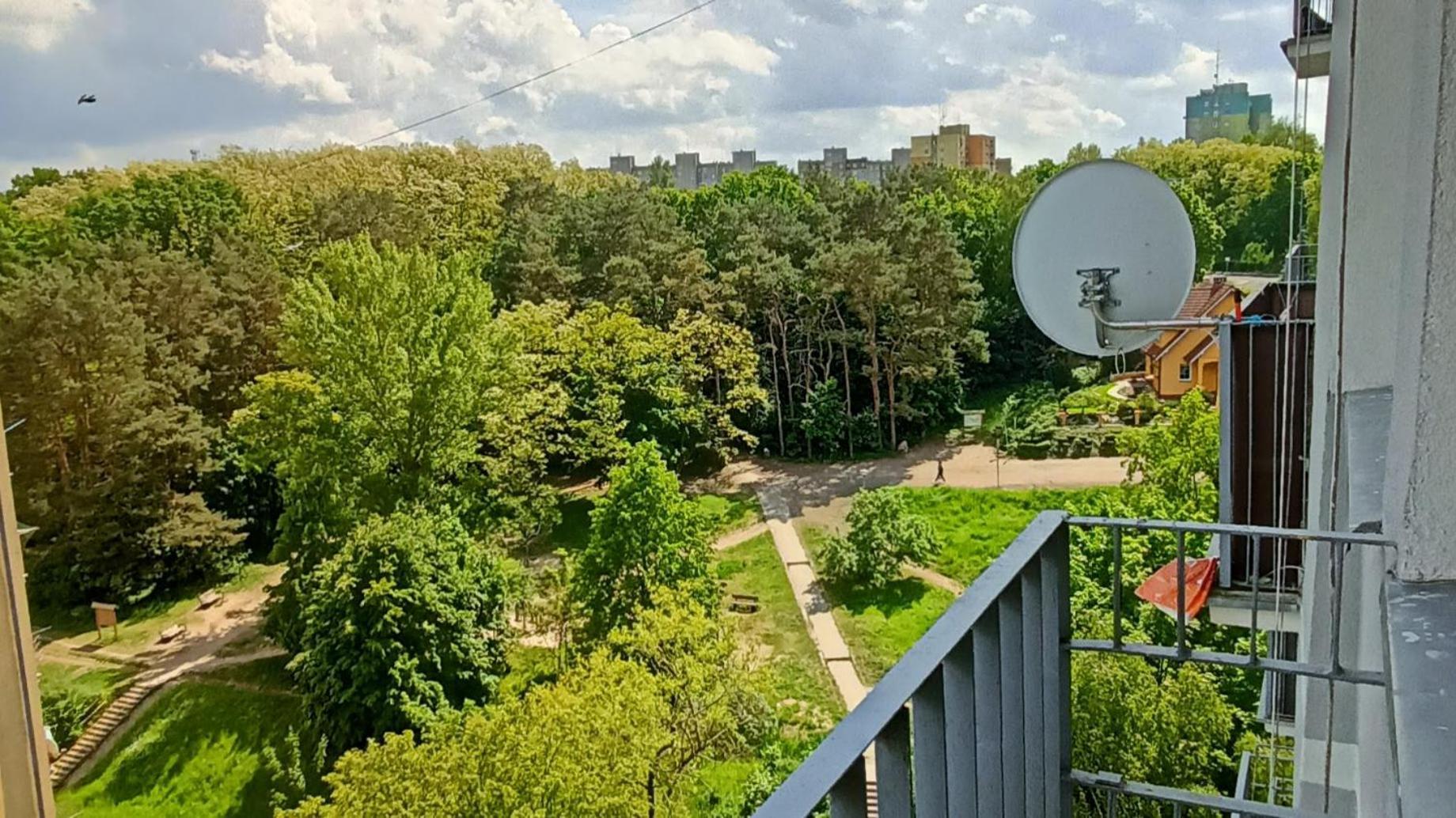 Drzewna Apartamenty - Wladyslawa Zielona Gora  Bagian luar foto
